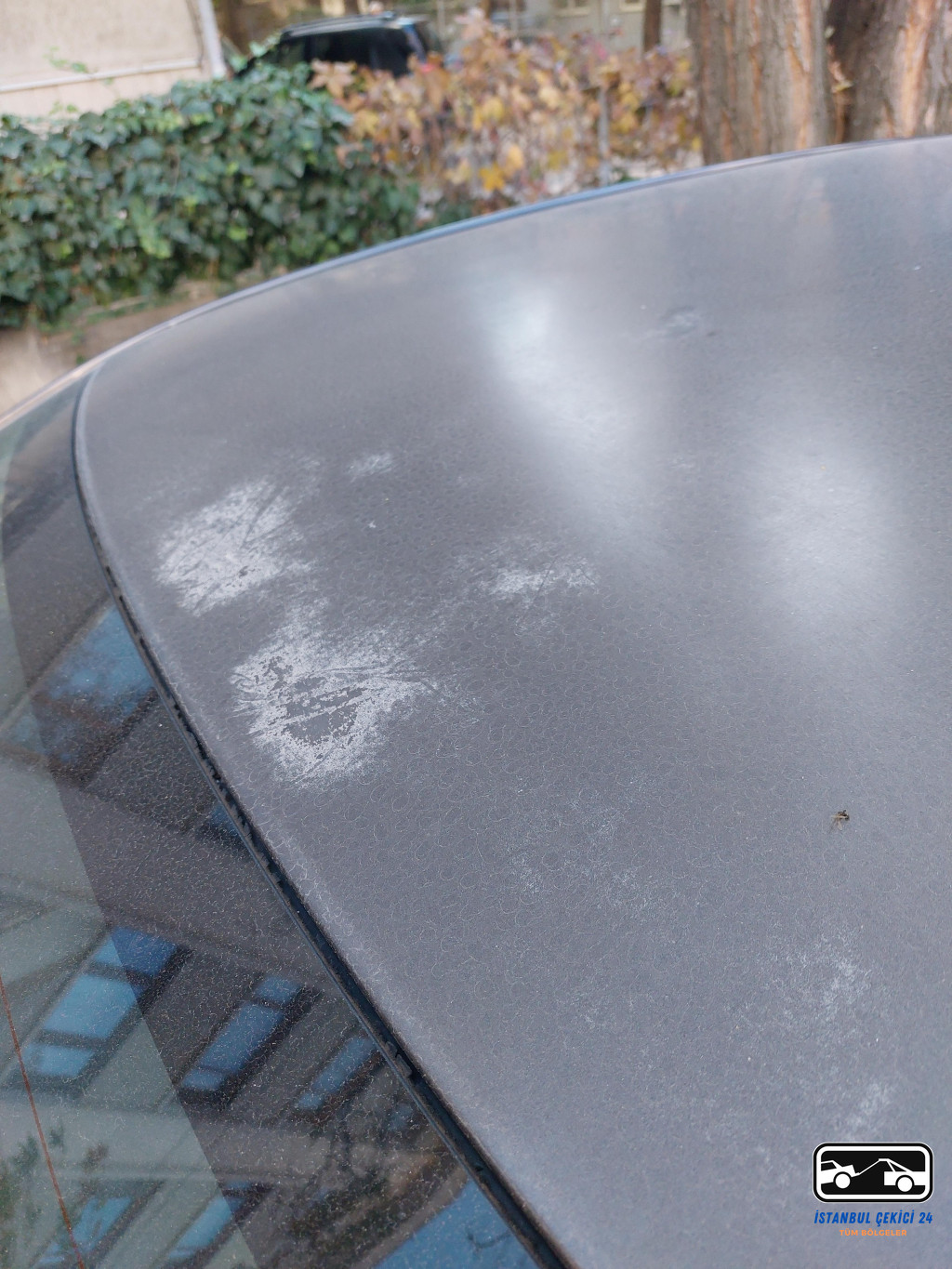 Güneş Yanığı Nasıl Geçer Araba 3 Güneş Yanığı Nasıl Geçer Araba - 8